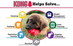 Kong Çok Amaçlı Isırma Yavru Köpek Oyuncağı M - 4