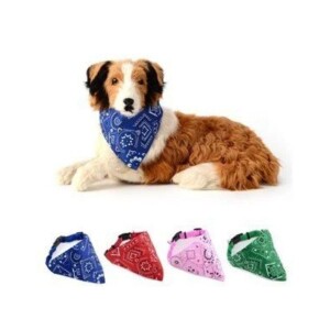 Lionpet Fularlı Köpek Boyun Tasması Karışık Renk M/L - Lionpet