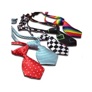 Lionpet Kravat Şeklinde Kedi ve Köpek Boyun Tasması - Lionpet