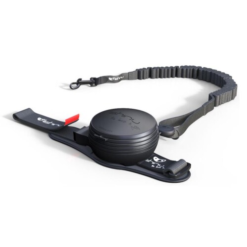 Lishinu Siyah Bungee Akıllı Kon. Gezdirme L 13-40 kg - 1