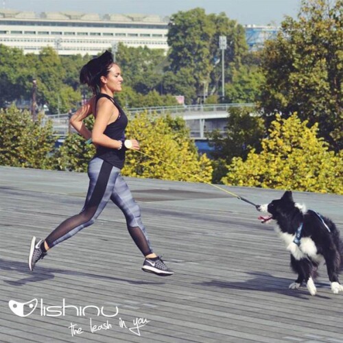 Lishinu Siyah Bungee Akıllı Kon. Gezdirme L 13-40 kg - 4