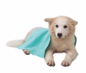 M-Pets Bathtime Kedi ve Köpekler İçin Hızlı Kuruyan Havlu - 3