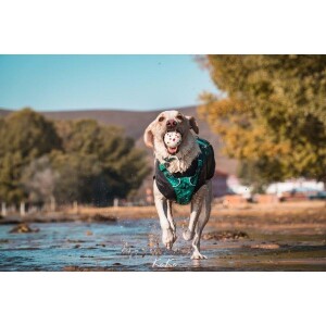 M-Pets Bloom Ball Parçalanmaz Top Köpek Oyuncağı 7 cm - 4