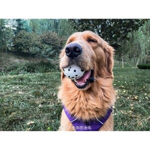 M-Pets Bloom Ball Parçalanmaz Top Köpek Oyuncağı Beyaz 7 cm - 3