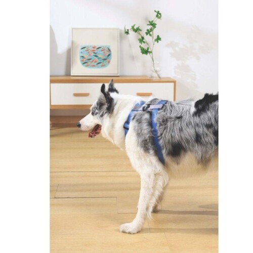 M-Pets Gentle Köpek Göğüs Tasması Mavi S - 3