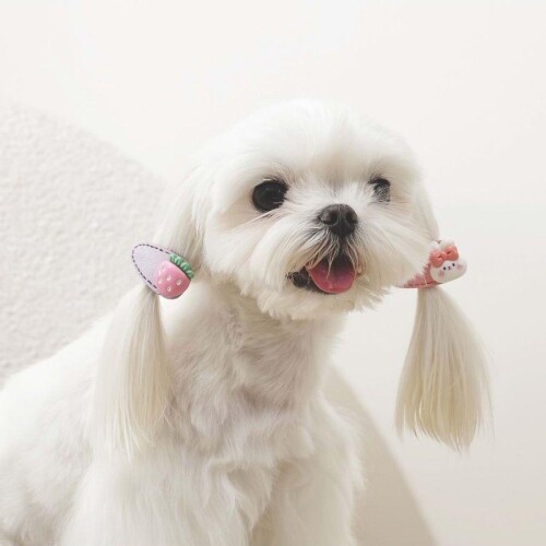 M-Pets Glam Figürlü Kedi ve Köpekler İçin Aksesuar Toka Pembe - 3