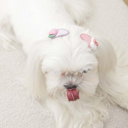 M-Pets Glam Figürlü Kedi ve Köpekler İçin Aksesuar Toka Pembe - 4