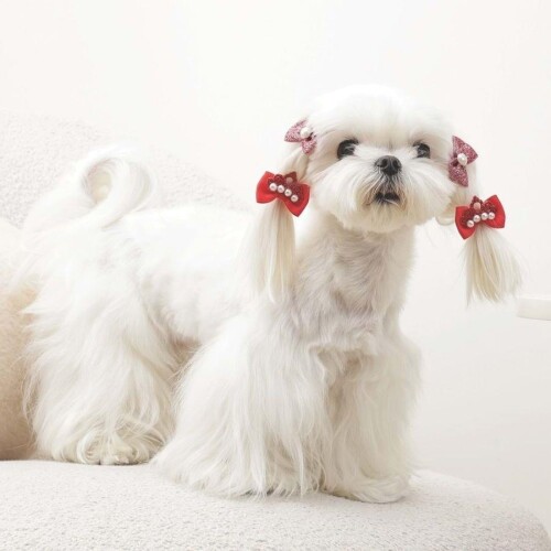 M-Pets Glam Fiyonklu Kedi ve Köpekler İçin Aksesuar Toka Kırmızı - 3