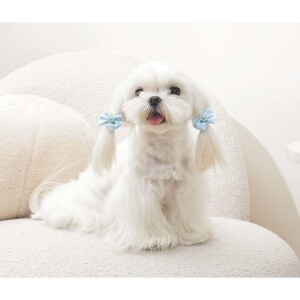 M-Pets Glam Fiyonklu Kedi ve Köpekler İçin Aksesuar Toka Mavi - 3