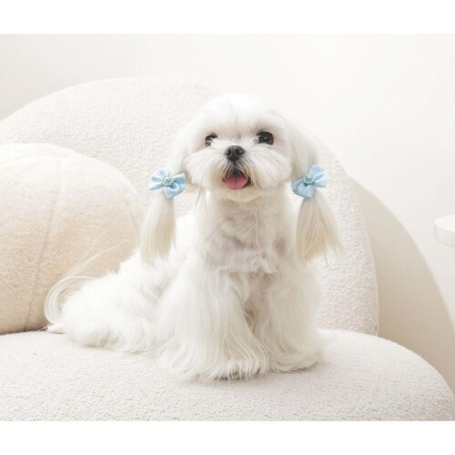 M-Pets Glam Fiyonklu Kedi ve Köpekler İçin Aksesuar Toka Mavi - 3