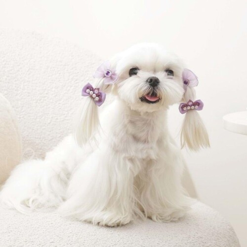 M-Pets Glam Fiyonklu Kedi ve Köpekler İçin Aksesuar Toka Mor - 3