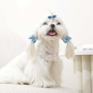 M-Pets Glam Gözlük ve Fiyonklu Kedi ve Köpekler İçin Aksesuar Toka Mavi - 3