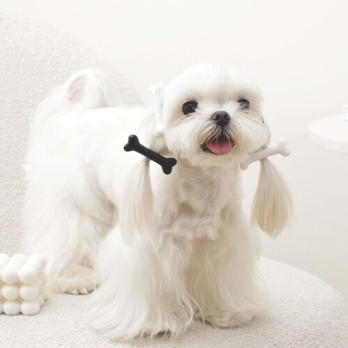 M-Pets Glam Kemikli Kedi ve Köpekler İçin Aksesuar Toka Siyah ve Beyaz - 3