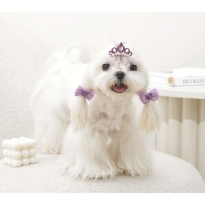 M-Pets Glam Taç ve Fiyonklu Kedi ve Köpekler İçin Aksesuar Toka Mor - 3