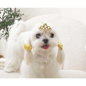 M-Pets Glam Taç ve Fiyonklu Kedi ve Köpekler İçin Aksesuar Toka Sarı - 3