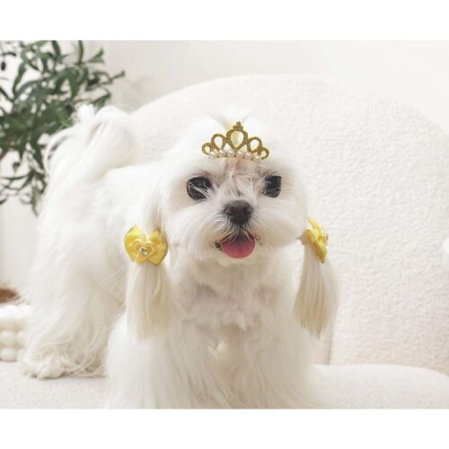 M-Pets Glam Taç ve Fiyonklu Kedi ve Köpekler İçin Aksesuar Toka Sarı - 3