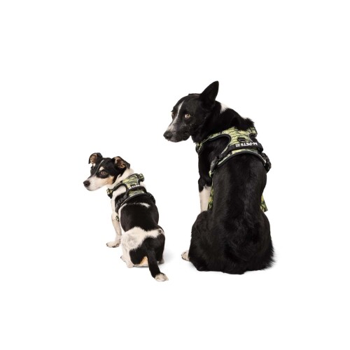 M-Pets Hıkıng Reflektörlü Kamuflaj Desenli Soft Köpek Göğüs Tasması M - 3