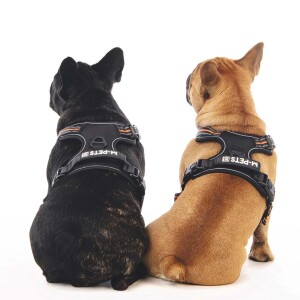 M-Pets Hıkıng Reflektörlü Soft Köpek Göğüs Tasması Turuncu M - 4