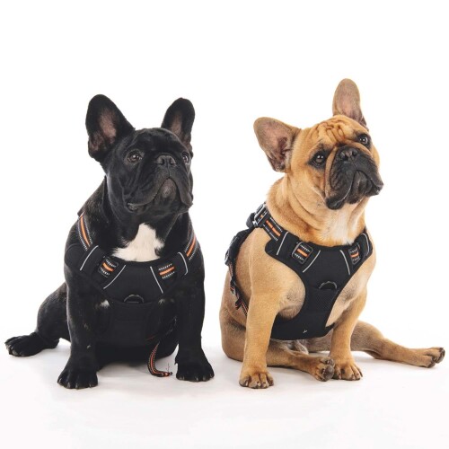M-Pets Hıkıng Reflektörlü Soft Köpek Göğüs Tasması Turuncu S - 3