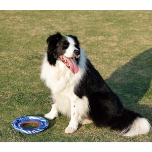 M-Pets Sprintpuff Frizbi Yeşil Köpek Oyuncağı 24 Cm - 8