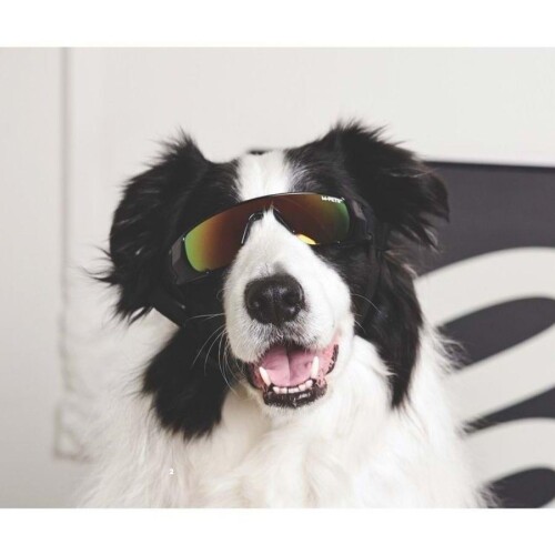 M-Pets Sunny Sunbather Köpek Gözlüğü Siyah - 2