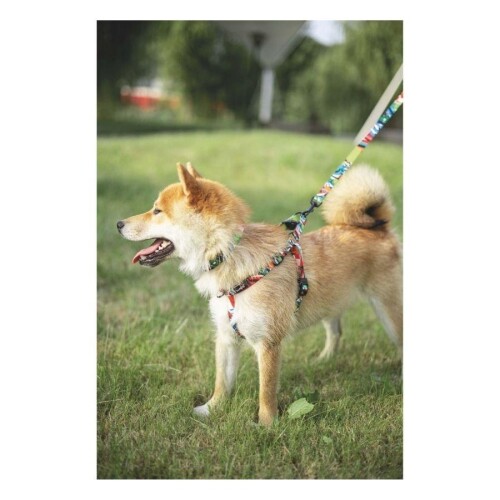 M-Pets Urban Style Freestyle Köpek Göğüs Tasması L - 3