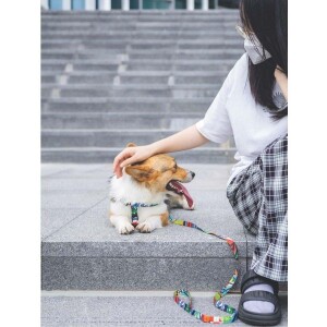 M-Pets Urban Style Freestyle Köpek Göğüs Tasması L - 4