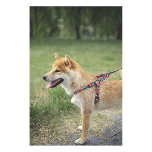 M-Pets Urban Style Jazz Stripes Köpek Göğüs Tasması L - 3