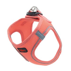 Natura Air Köpek Bel Tasması XS Mercan - Natura
