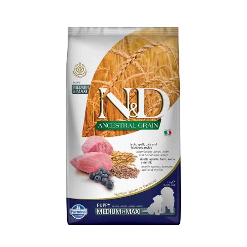 N&D Düşük Tahıllı Kuzu Etli Yaban Mersinli Orta Irk Yavru Köpek Maması 2,5 kg - 1