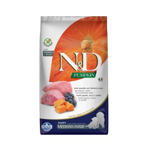 N&D Pumpkin Tahılsız Bal Kabaklı Kuzu Etli Yaban Mersinli Orta ve Büyük Irk Yavru Köpek Maması 2,5 kg - N&D