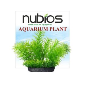 Nubios Kare Tabanlı Plastik Bitki 10 Cm - Nubios