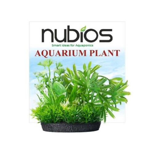 Nubios Kare Tabanlı Plastik Bitki 10 Cm - 1