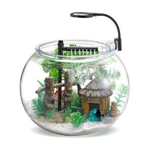 Nubios Masasüstü Akvaryum Seti 12 Lt - Nubios