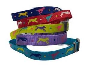 Nunbell Desenli Köpek Boyun Tasması 40-60 Cm - Nunbell