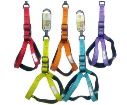 Nunbell Göğüs Tasması 2 mm - 1