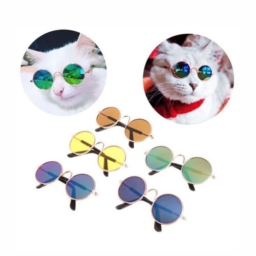 Nunbell Kedi ve Köpekler İçin Gözlük - 1