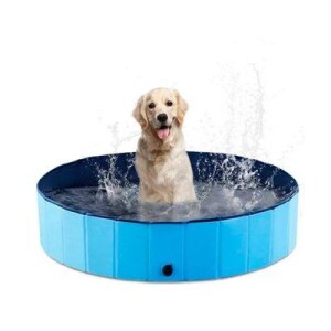 Pawise Kalın Malzemeli Katlanabilir Köpek Havuzu 120 x 30 Cm - 2