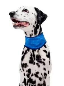 Pawise Soğutucu Köpek Bandanası S 30-36 Cm - 2