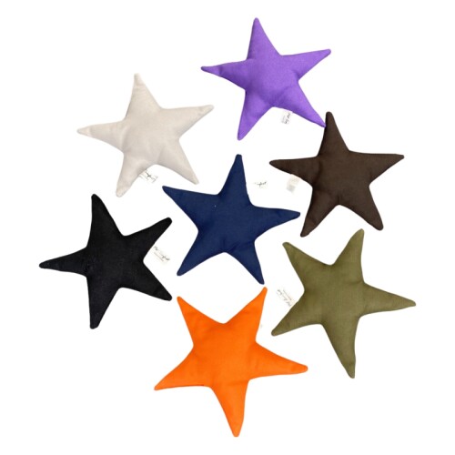 Pet Comfort Yıldız Su Geçirmez Köpek Oyuncağı Mavi 17cm - 1