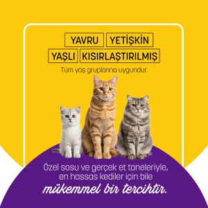 PetzzCats Lezzetli Sos İçinde Taze Fileto Ton Balıklı ve Midyeli Konserve Kedi Maması 85 Gr 6 Adet - 5