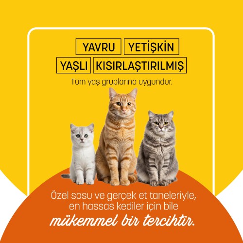 PetzzCats Tavuk Etli Konserve Kedi Maması 85 Gr 6 Adet - 5