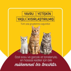 PetzzCats Tavuk & Kalamar Konserve Kedi Maması 85 Gr 12 Adet - 5