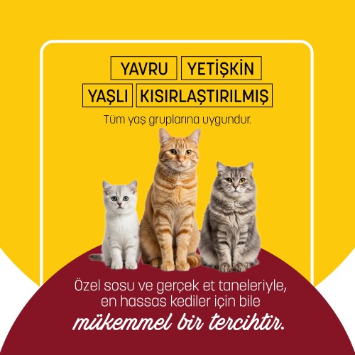 PetzzCats Tavuk & Kalamar Konserve Kedi Maması 85 Gr 6 Adet - 5