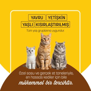 PetzzCats Tavuk & Karides Konserve Kedi Maması 85 Gr 6 Adet - 5