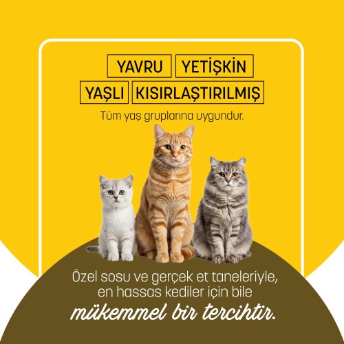 PetzzCats Tavuk & Midye Konserve Kedi Maması 85 Gr 12 Adet - 5