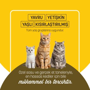 PetzzCats Tavuk & Midye Konserve Kedi Maması 85 Gr - 5