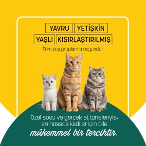 PetzzCats Ton Balığı & Kalamar Konserve Kedi Maması 85 Gr 24 Adet - 5