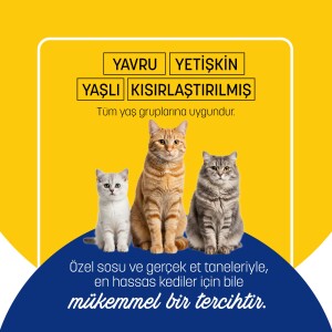 PetzzCats Ton Balığı & Karides Konserve Kedi Maması 85 Gr 12 Adet - 5