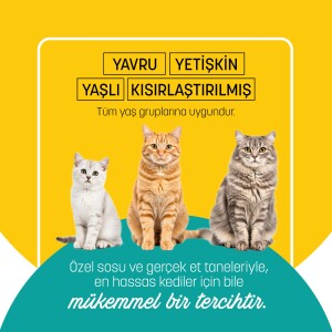 PetzzCats Ton Balığı Konserve Kedi Maması 85 Gr 12 Adet - 5